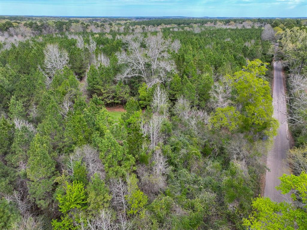 Eugene Walker Road  , Huntington, Texas image 8