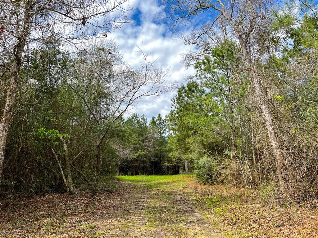 Eugene Walker Road  , Huntington, Texas image 9