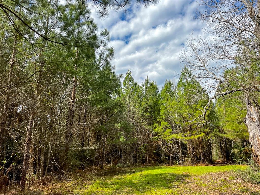 Eugene Walker Road  , Huntington, Texas image 10