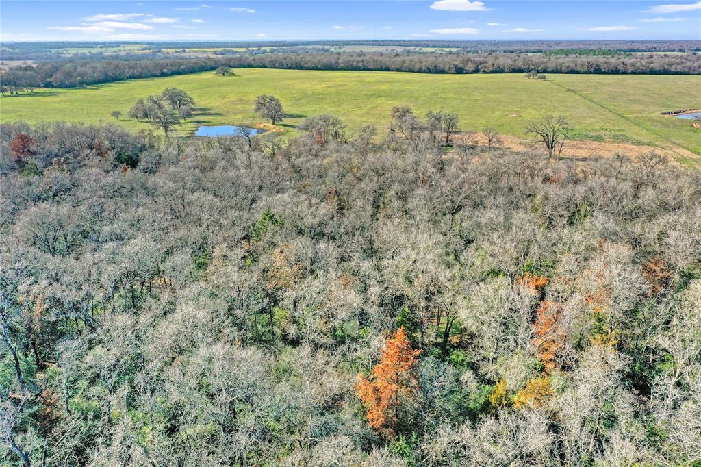 0000 Red Bank Road , Bremond, Texas image 8