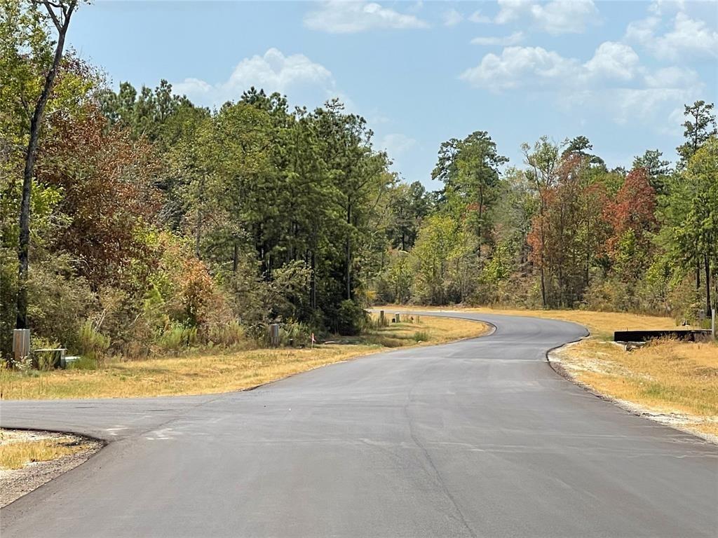 122 Signal Road , New Waverly, Texas image 4