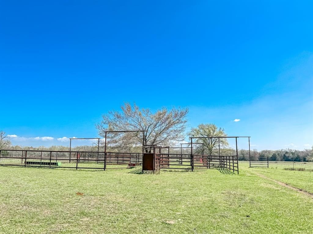 Cattle pens