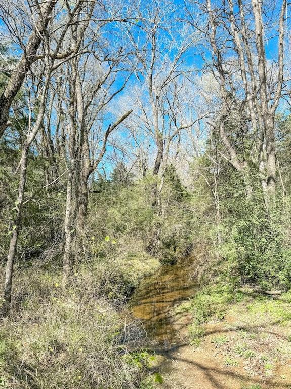 Creek running through property