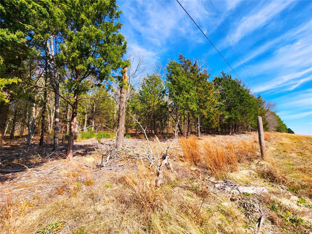 Hilltop of this lot overlooks Hwy 175.  Notice the aerial power lines in front of this lot.