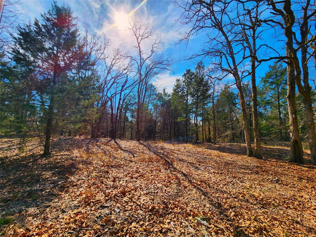 This could be the view from the back of your dream home!