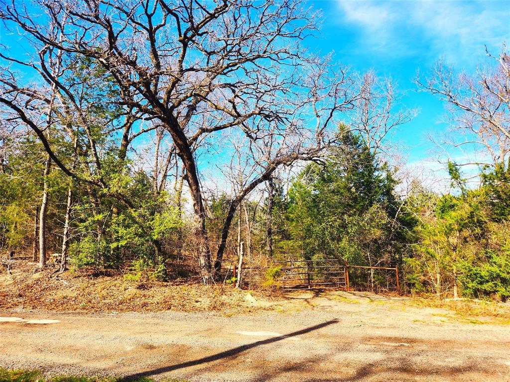 Lot 463 Us-175  , Larue, Texas image 46