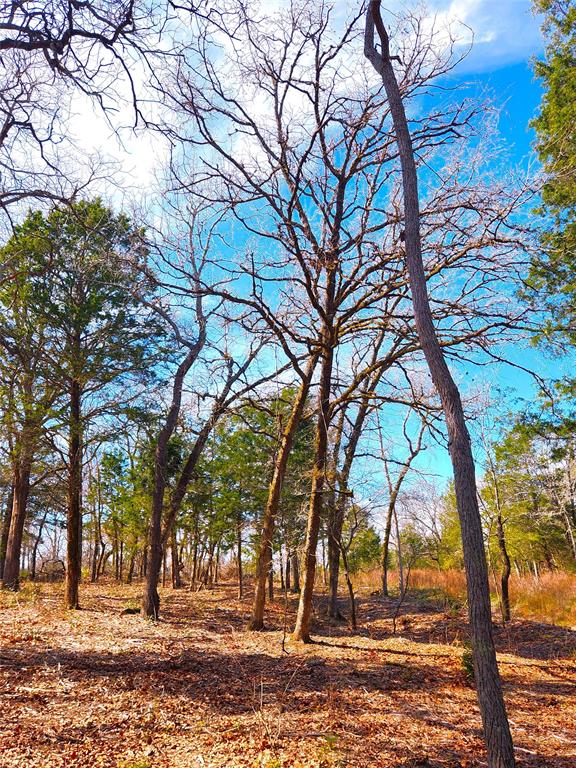 Lot 463 Us-175  , Larue, Texas image 10