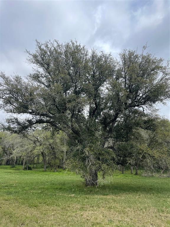 212 River Tree Drive, Palacios, TX 77465