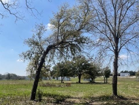 Affleck Road N, Brenham, Texas image 6