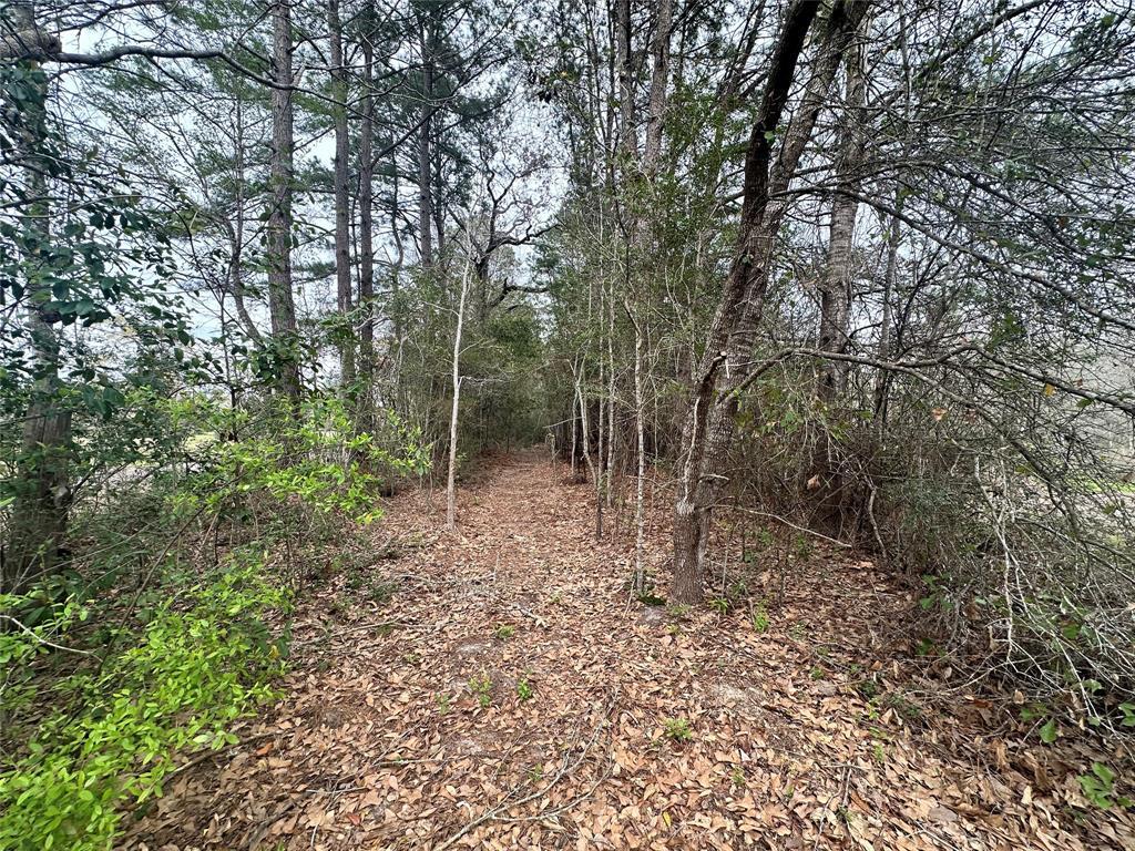 TBD County Road 4755  , Warren, Texas image 9