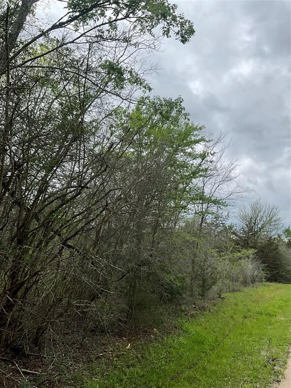 Tbd Cr 3590  , Lovelady, Texas image 4