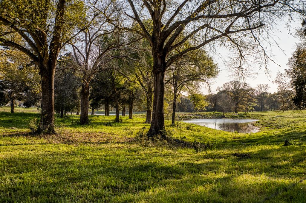 507 High Meadows Road , Bellville, Texas image 33