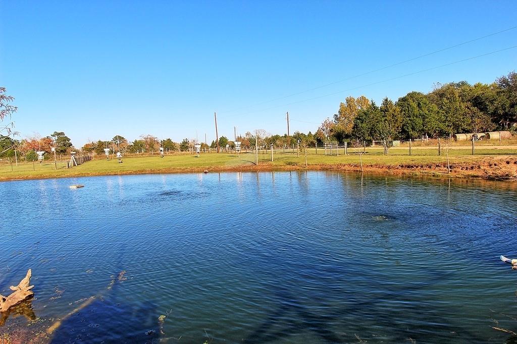 1014 Church Creek Lane , Cat Spring, Texas image 17