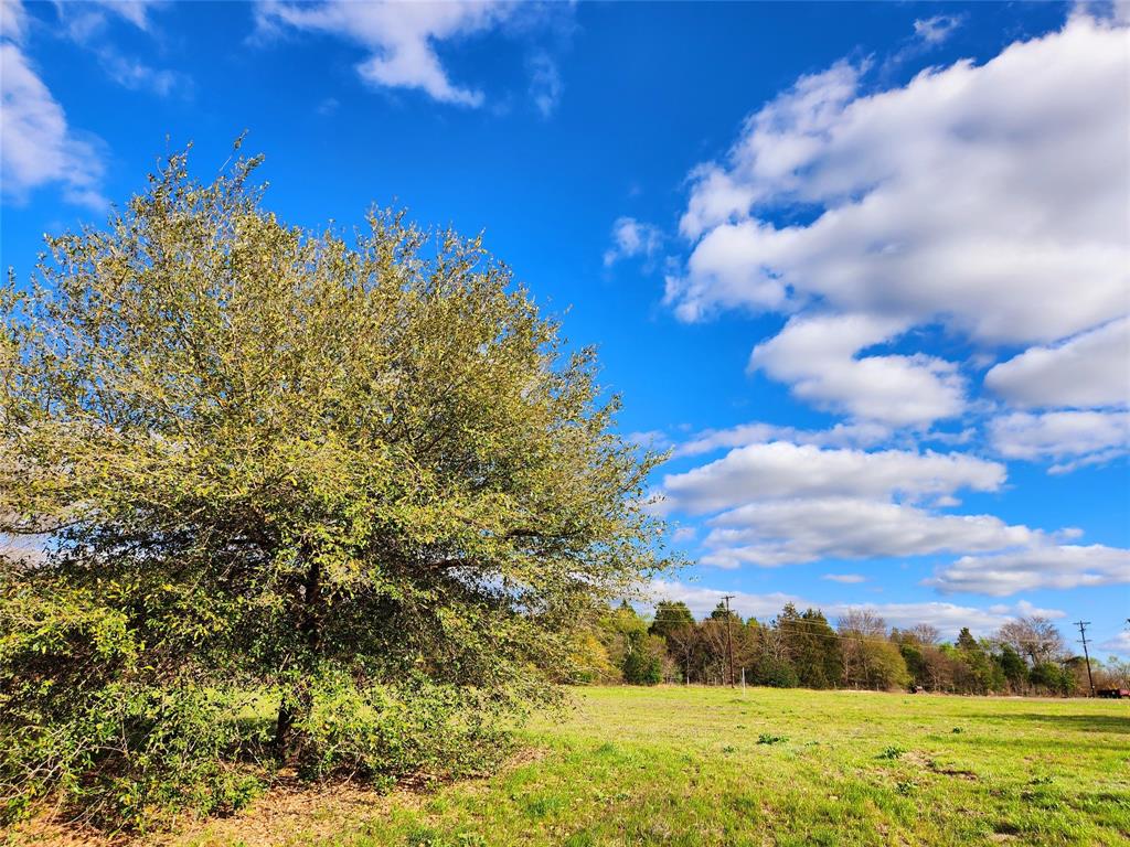 Lot 180 Rolling Hills Court , Athens, Texas image 11