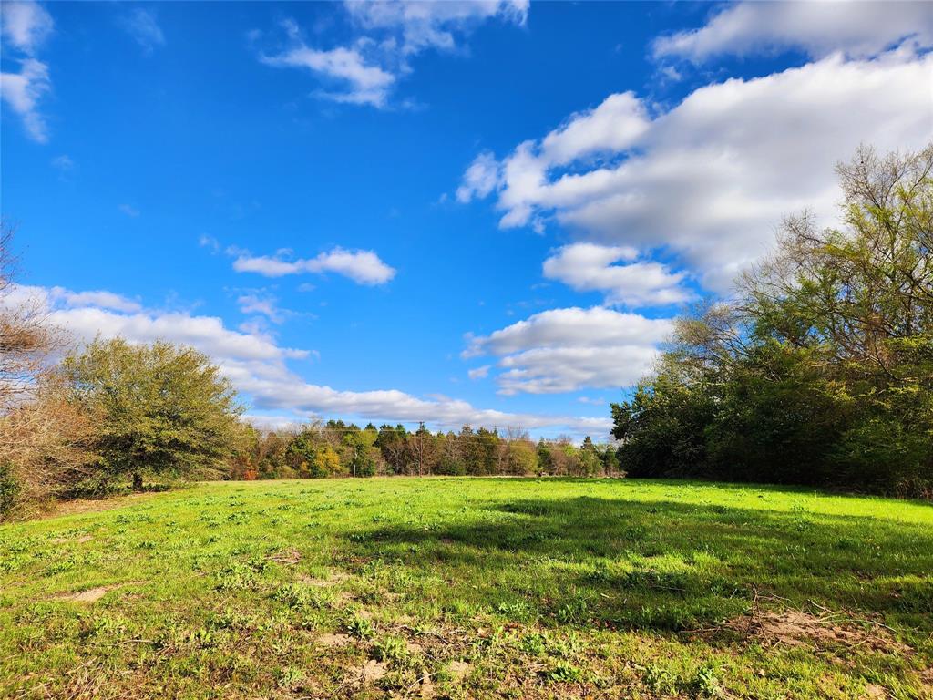 Lot 180 Rolling Hills Court , Athens, Texas image 7