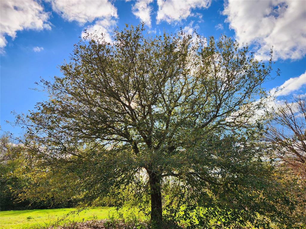 Lot 180 Rolling Hills Court , Athens, Texas image 8