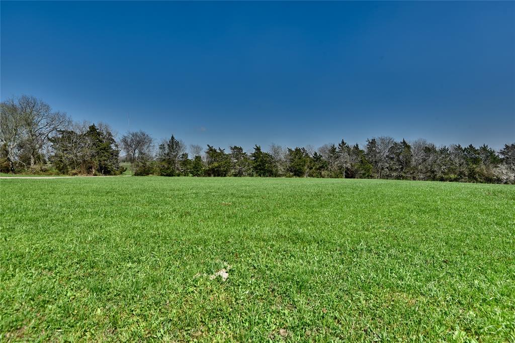 front pasture