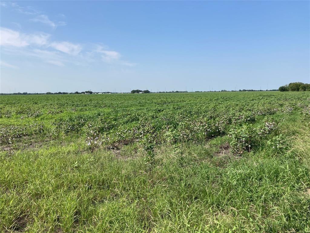 TBD County Road  , East Bernard, Texas image 5