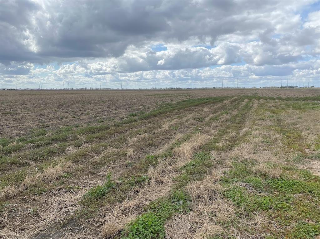 TBD County Road  , East Bernard, Texas image 6