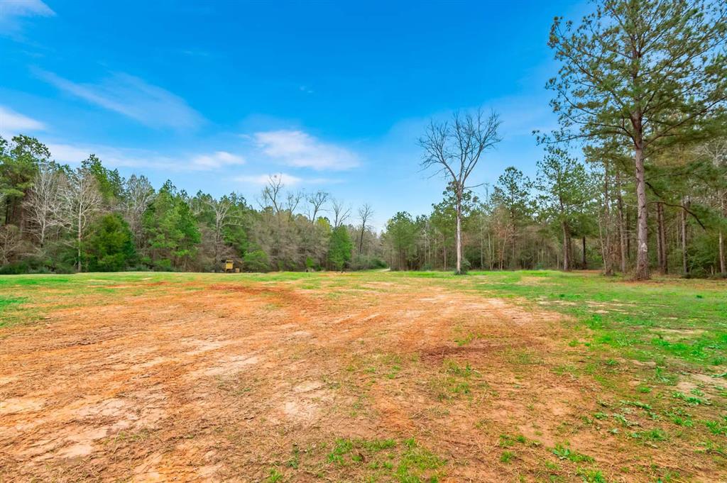 128 County Road 456  , Carthage, Texas image 9