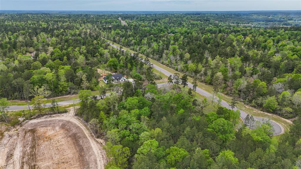 Iron Horse Street , New Waverly, Texas image 15