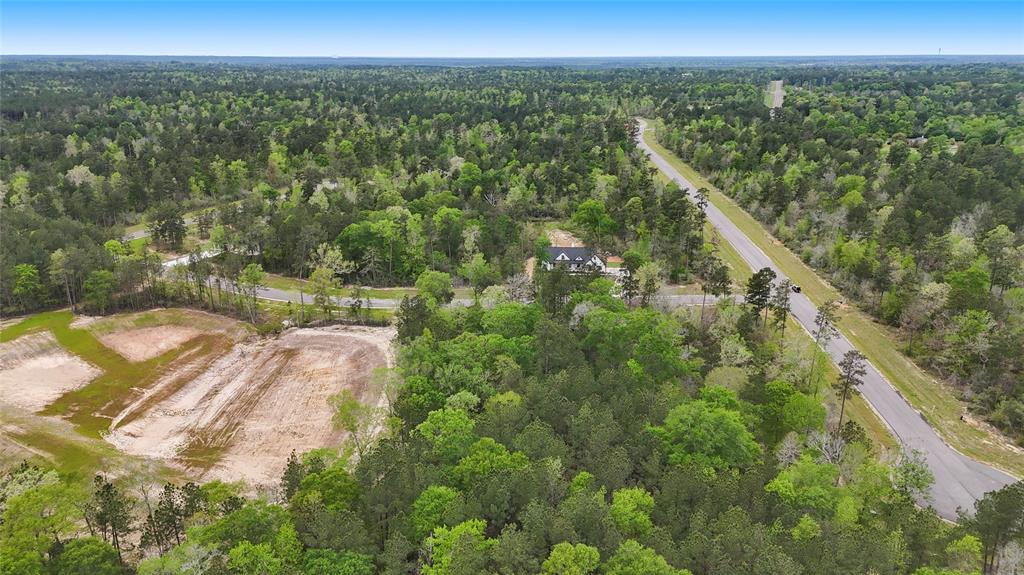 Iron Horse Street , New Waverly, Texas image 16