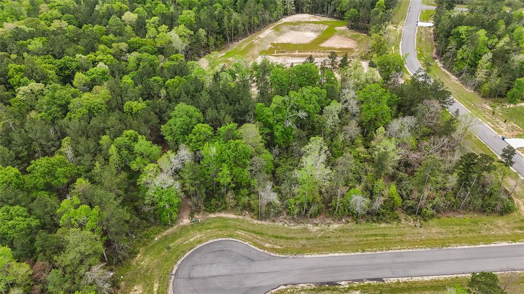 Iron Horse Street , New Waverly, Texas image 19