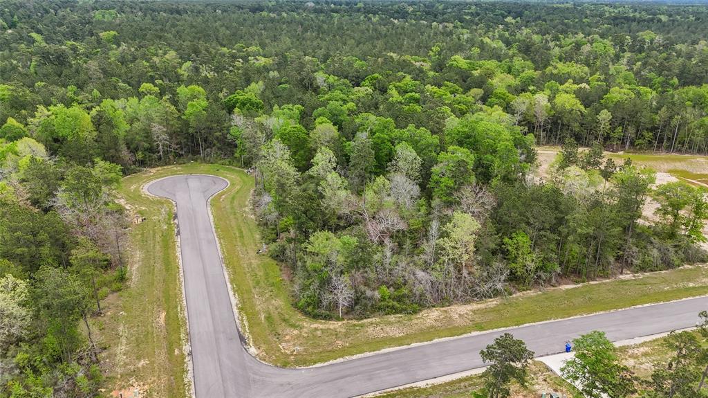 Iron Horse Street , New Waverly, Texas image 9