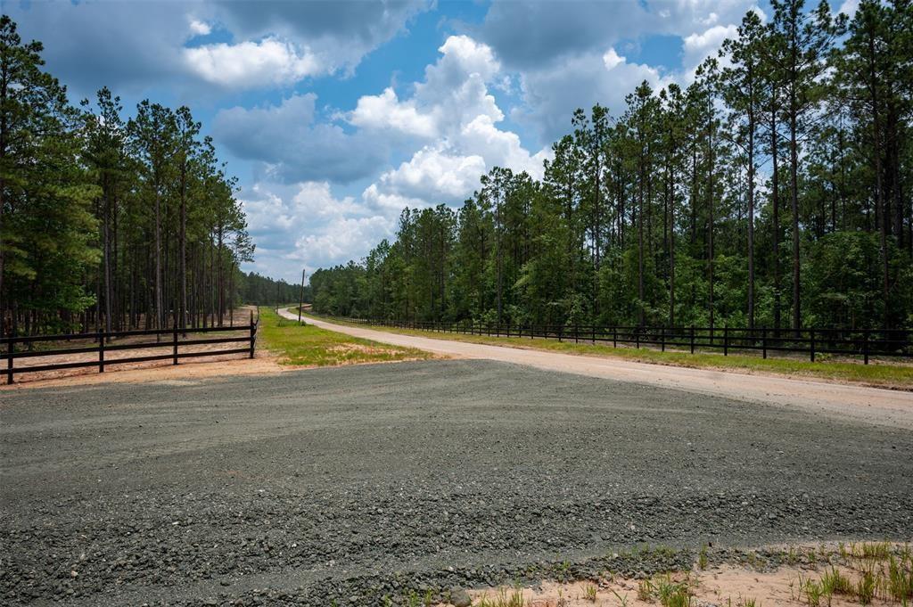 Tract 18 Timberland Branch Drive , Woodville, Texas image 6