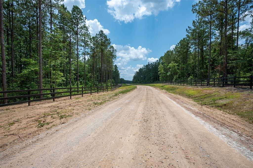 Tract 18 Timberland Branch Drive , Woodville, Texas image 7