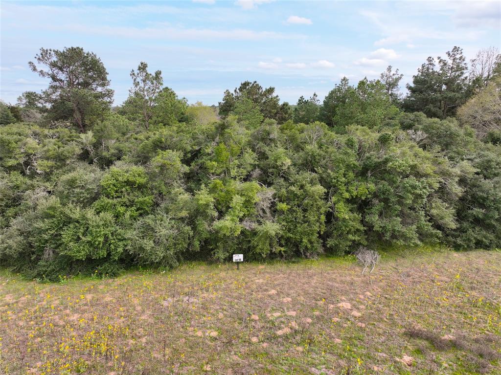 5.01Acres Lot 98 Pr 1315  , Centerville, Texas image 11