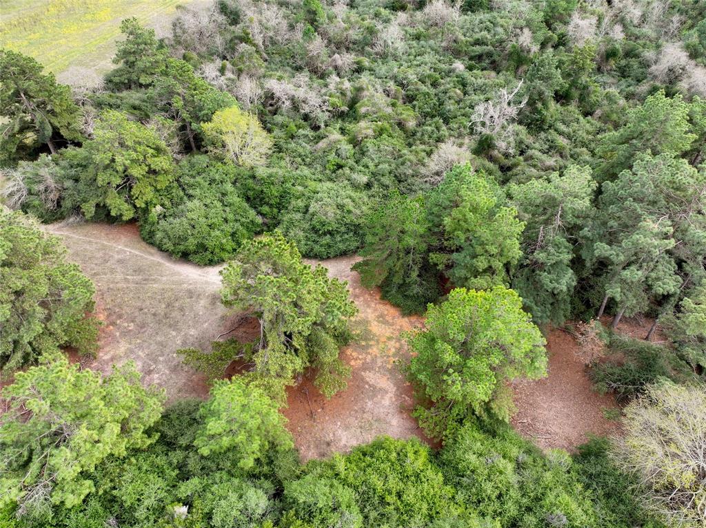 5.01Acres Lot 98 Pr 1315  , Centerville, Texas image 12