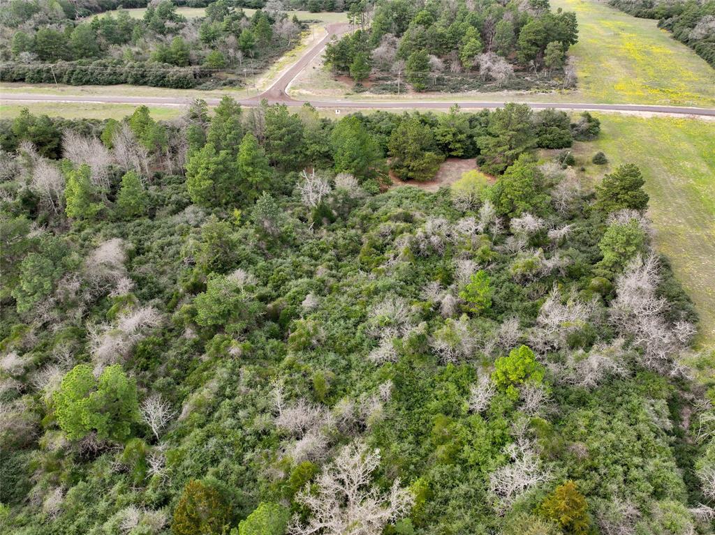 5.01Acres Lot 98 Pr 1315  , Centerville, Texas image 13