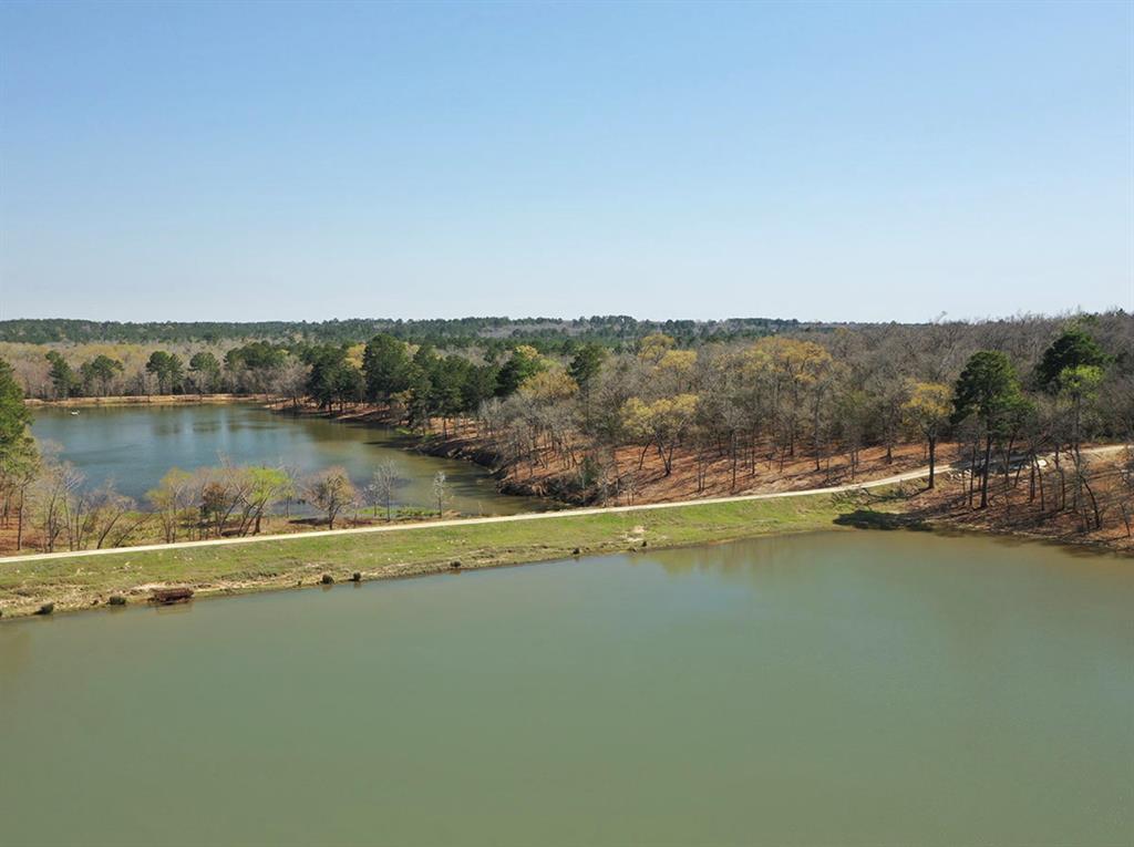 5.01Acres Lot 98 Pr 1315  , Centerville, Texas image 23