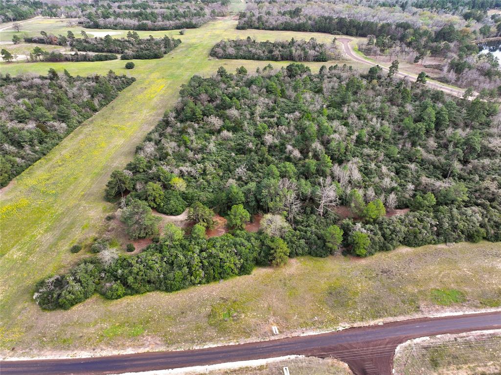 5.01Acres Lot 98 Pr 1315  , Centerville, Texas image 4