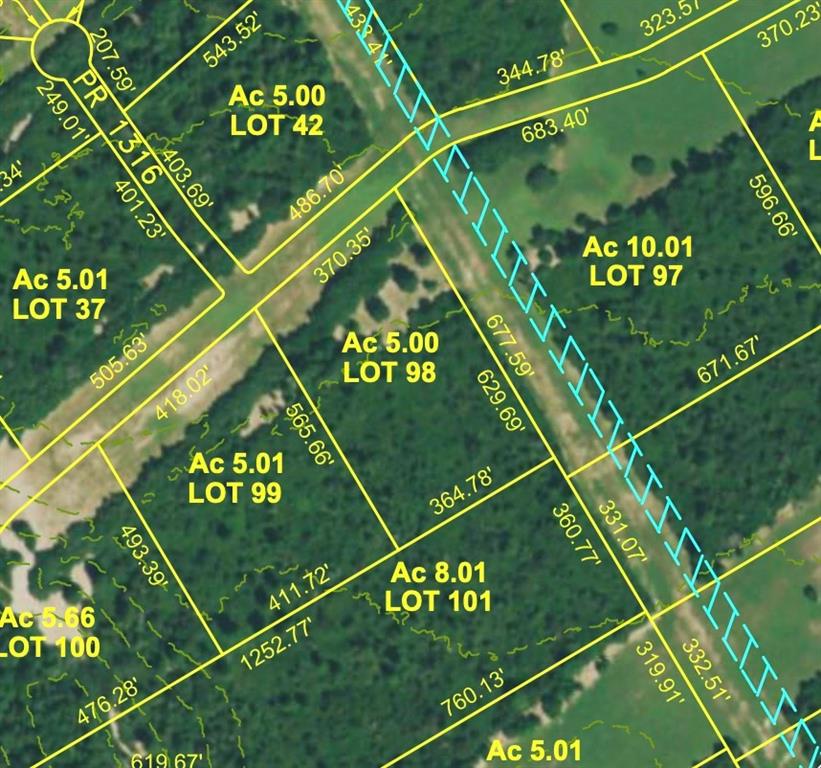 5.01Acres Lot 98 Pr 1315  , Centerville, Texas image 5