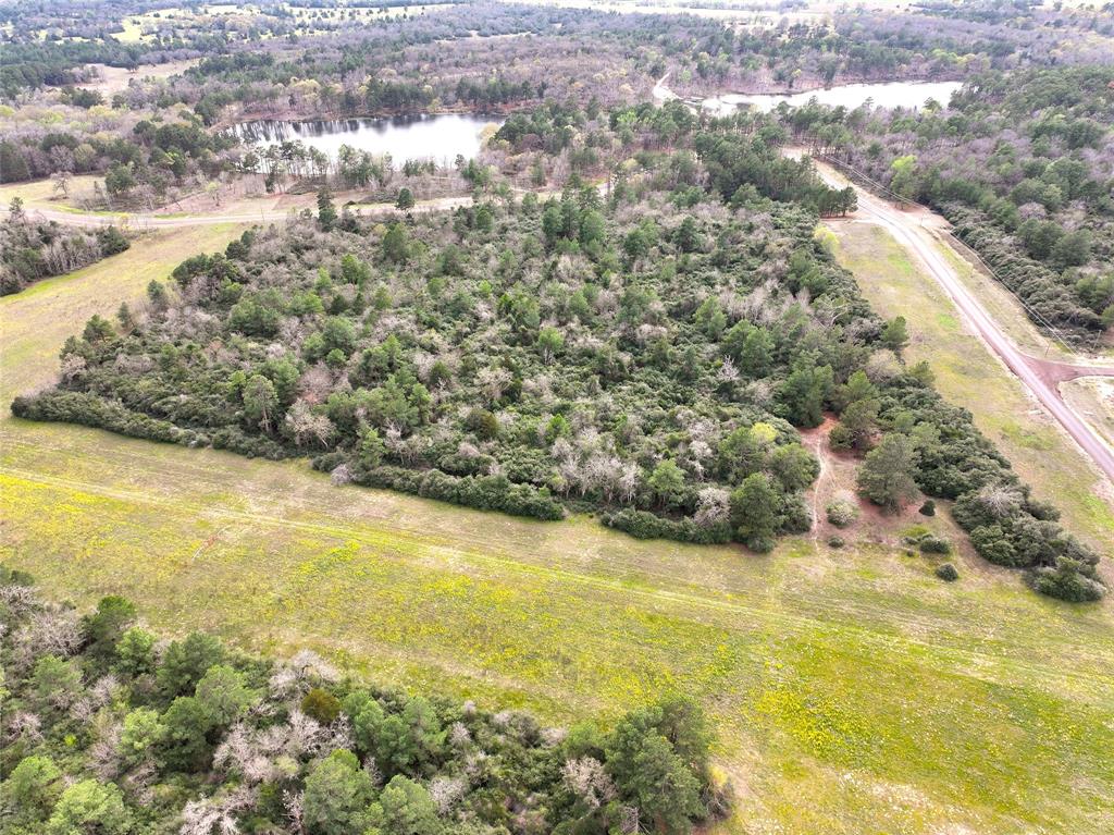 5.01Acres Lot 98 Pr 1315  , Centerville, Texas image 8