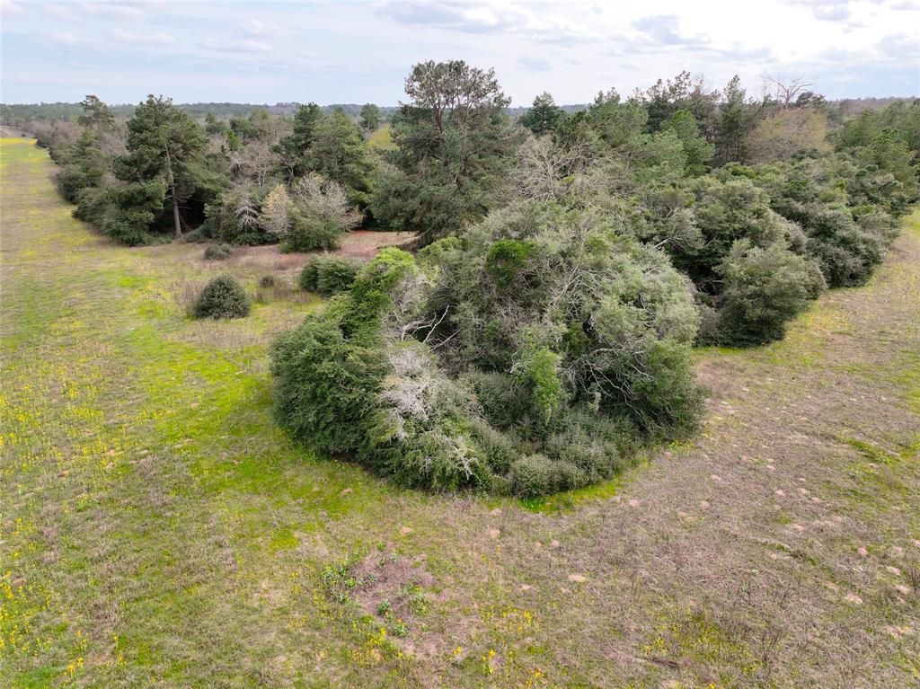 5.01Acres Lot 98 Pr 1315  , Centerville, Texas image 10