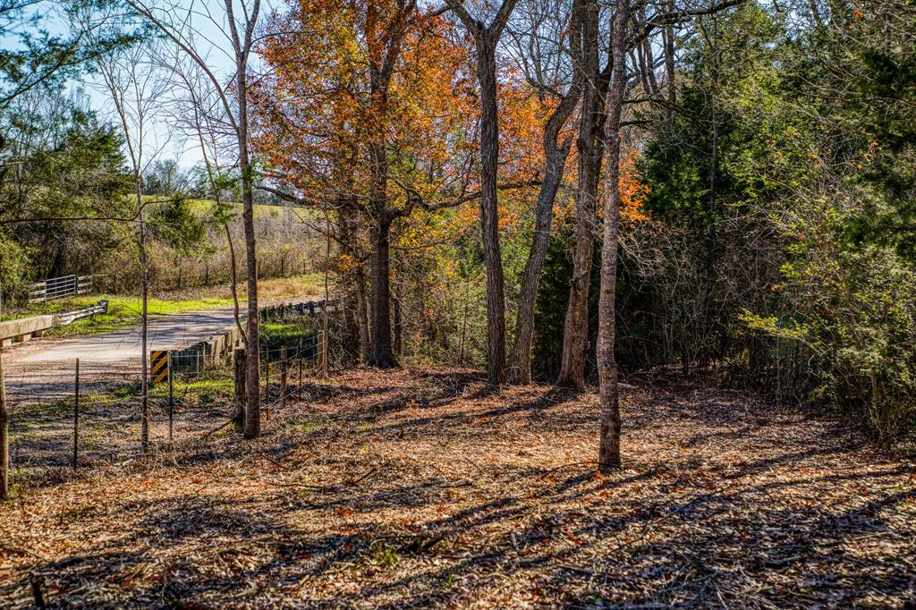 1598-5 Tiemann Road , New Ulm, Texas image 9