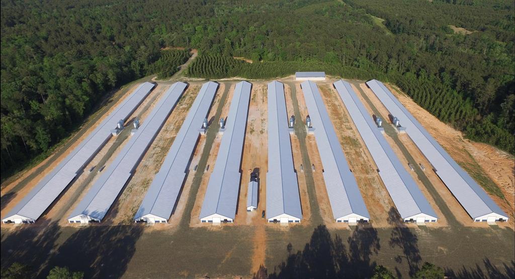 8 house Broiler farm built in 2022, size 46x600.
Excellent income producing Broiler farm
Pilgrims integrator, 9 weeks birds, 
1 mobil home, double wide 3/2 (beds/bath)
Litter Shed, Eco-Drum
Tractor, 75 HP, New Holland
Pulverizer / Washer 
Land 80 acres
Exclusive right to sell.  Please contact listing agent Binh Pham for ALL details.

Biosecurity farm: Biosecurity is strictly observed and practiced.  No passing-by or viewing without prior approval from listing agent. 

For showing, request must be made 72 hours in advance.
