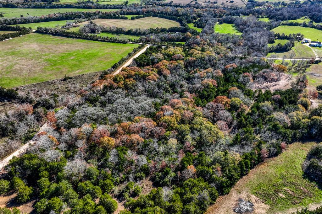 Tbd Zettel Road , New Ulm, Texas image 19