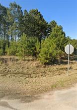 3116 County Road 3479b, Cleveland, TX, 77327