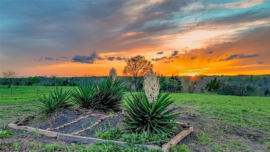 5914 Guettermann-ehler Road , Muldoon, Texas image 13