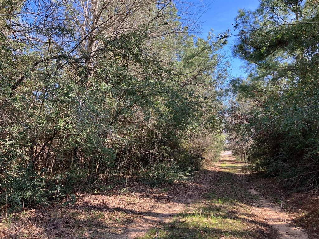 TBD High View Drive  , Oakwood, Texas image 13