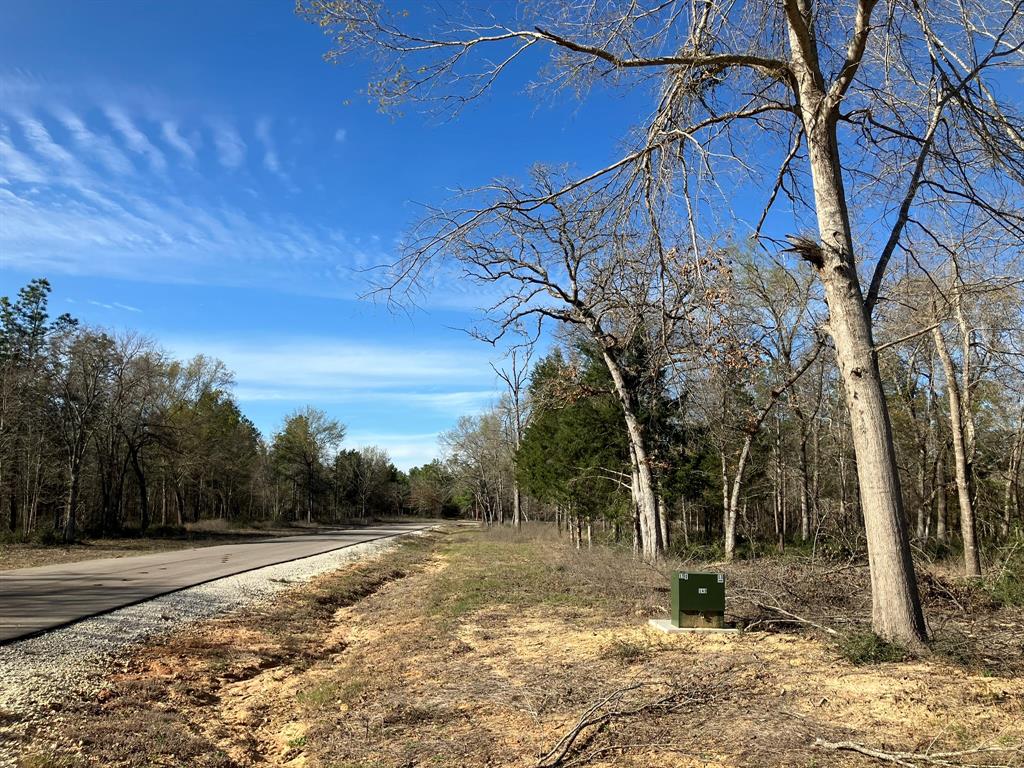 TBD High View Drive  , Oakwood, Texas image 15