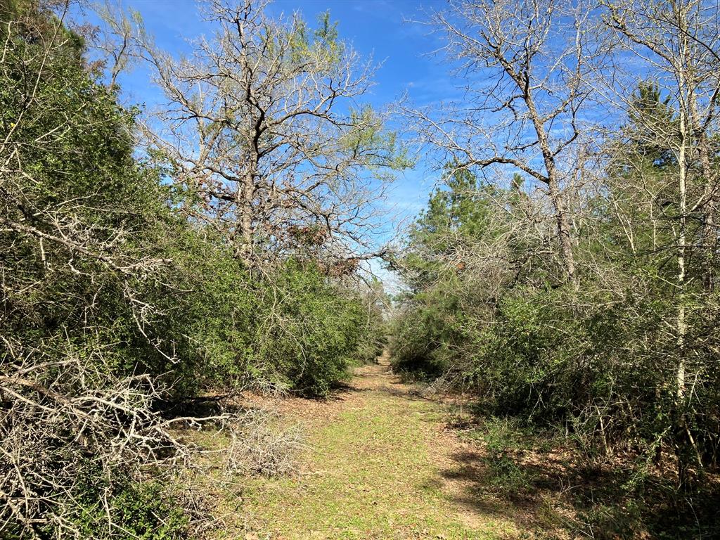 TBD High View Drive  , Oakwood, Texas image 25