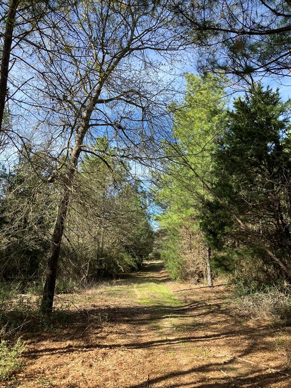 TBD High View Drive  , Oakwood, Texas image 10