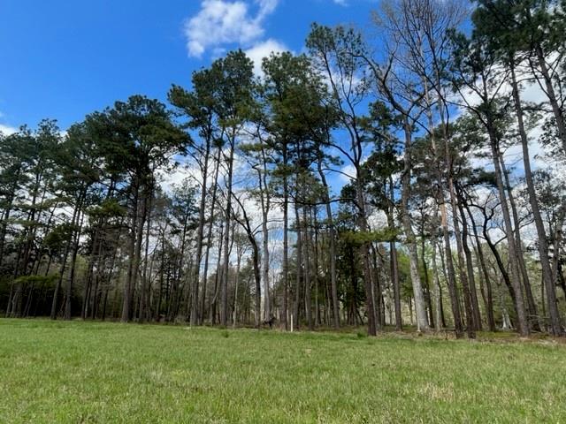 Lakeland Drive  , Hillister, Texas image 9