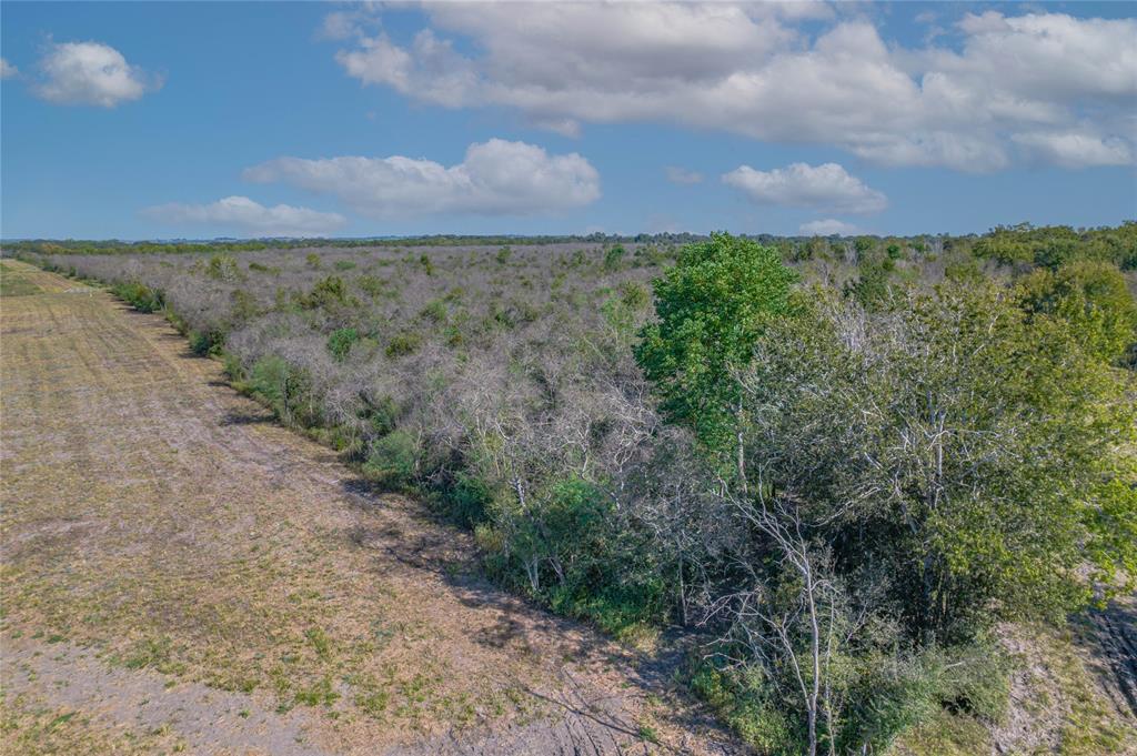 Lisa Mae Road Road , Bellville, Texas image 13