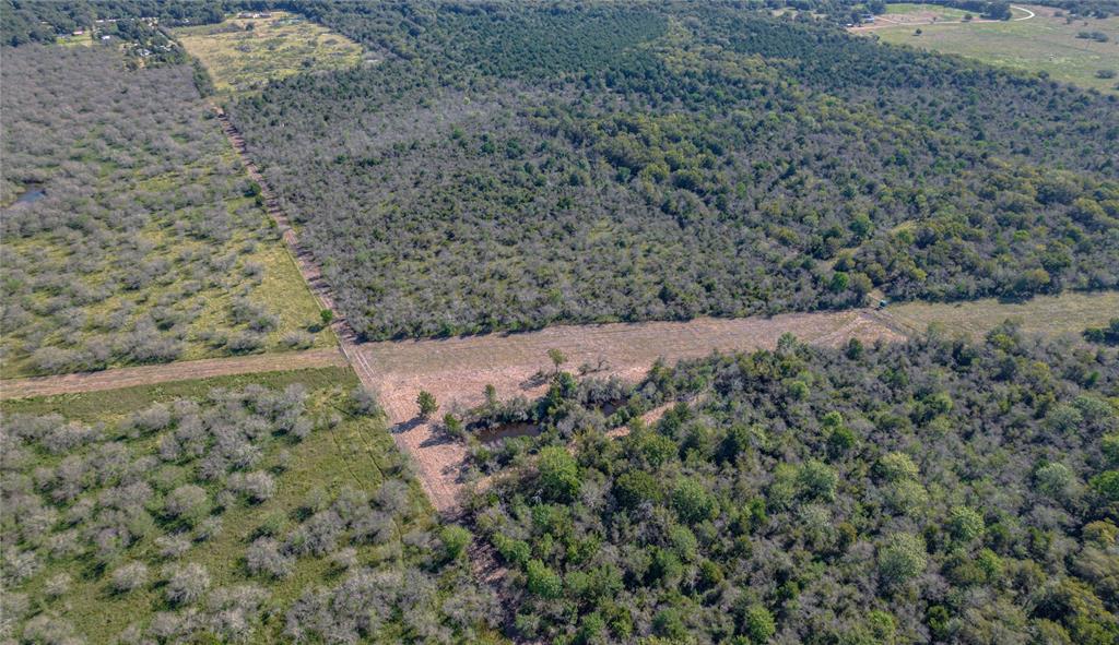 Lisa Mae Road Road , Bellville, Texas image 4